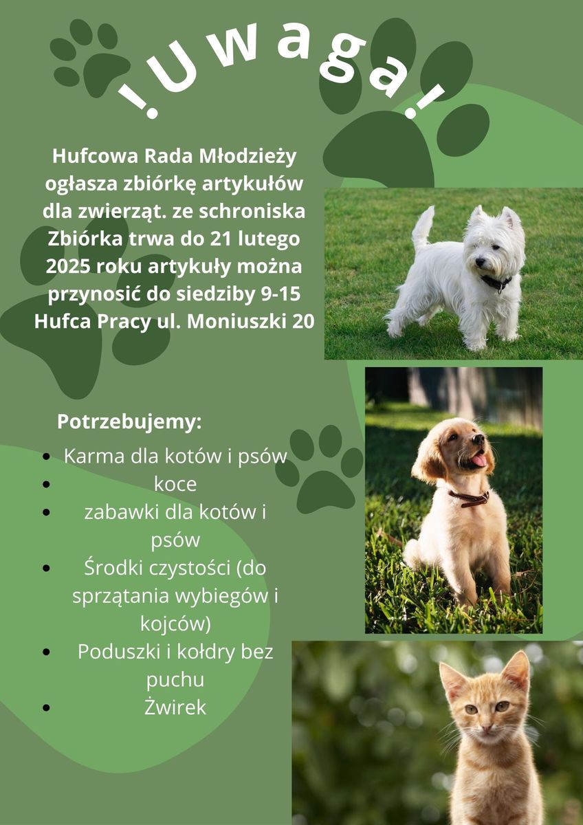 POMAGAMY BEZDOMNYM ZWIERZAKOM 2