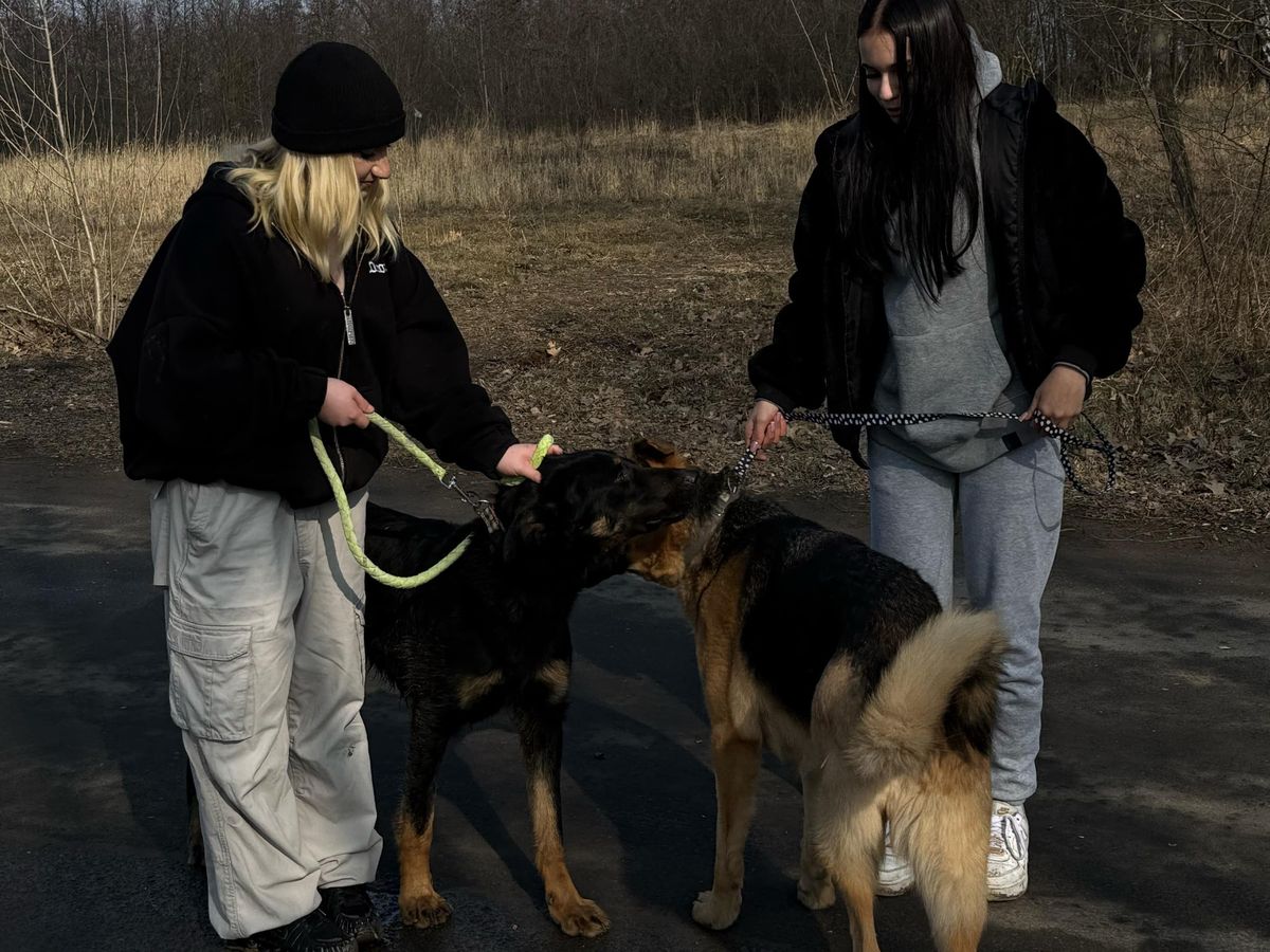 POMAGAMY BEZDOMNYM ZWIERZAKOM 6