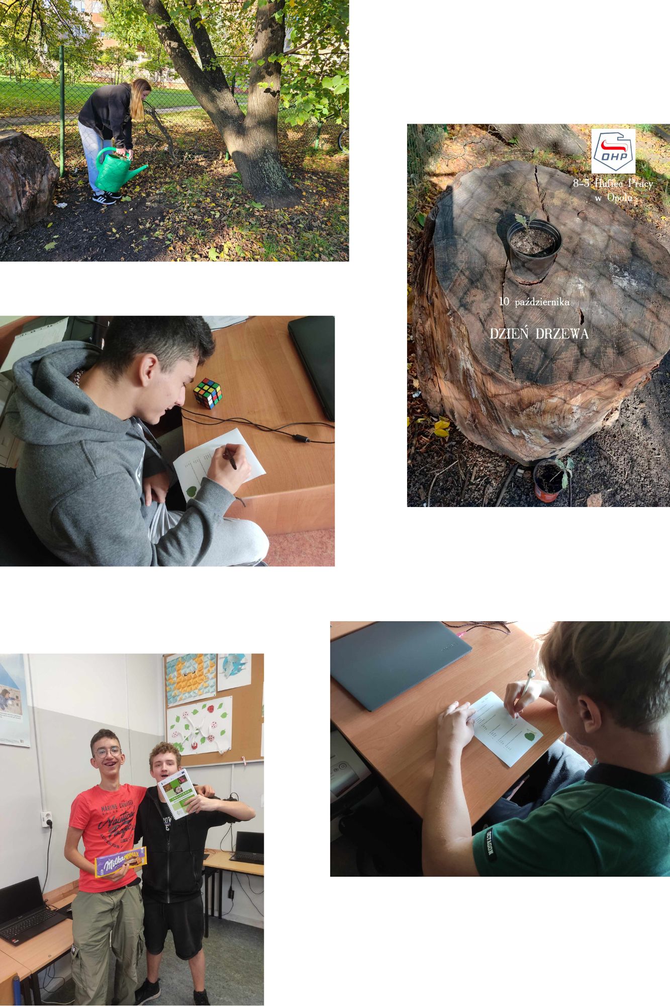 Projekt bez nazwy