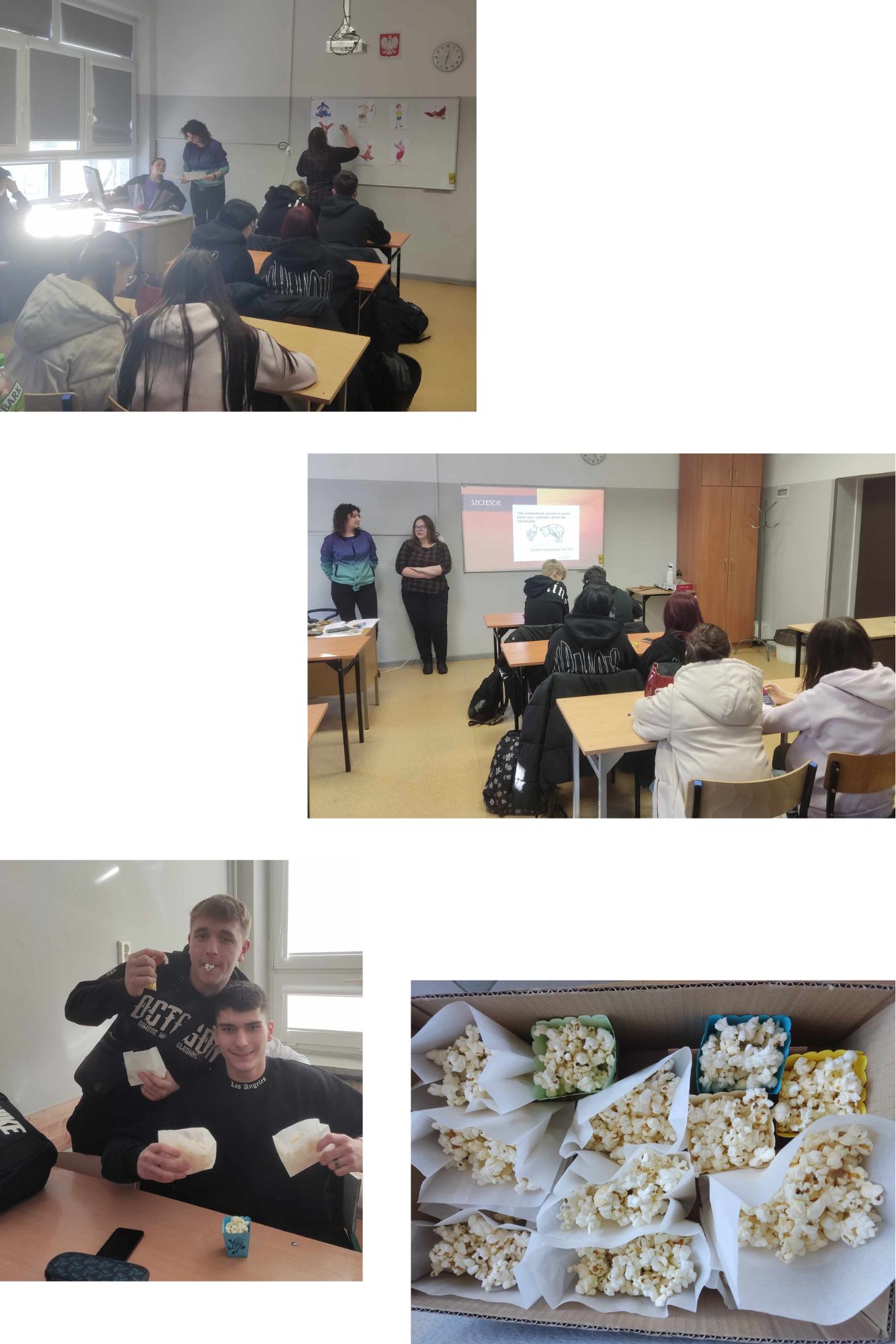 Projekt bez nazwy