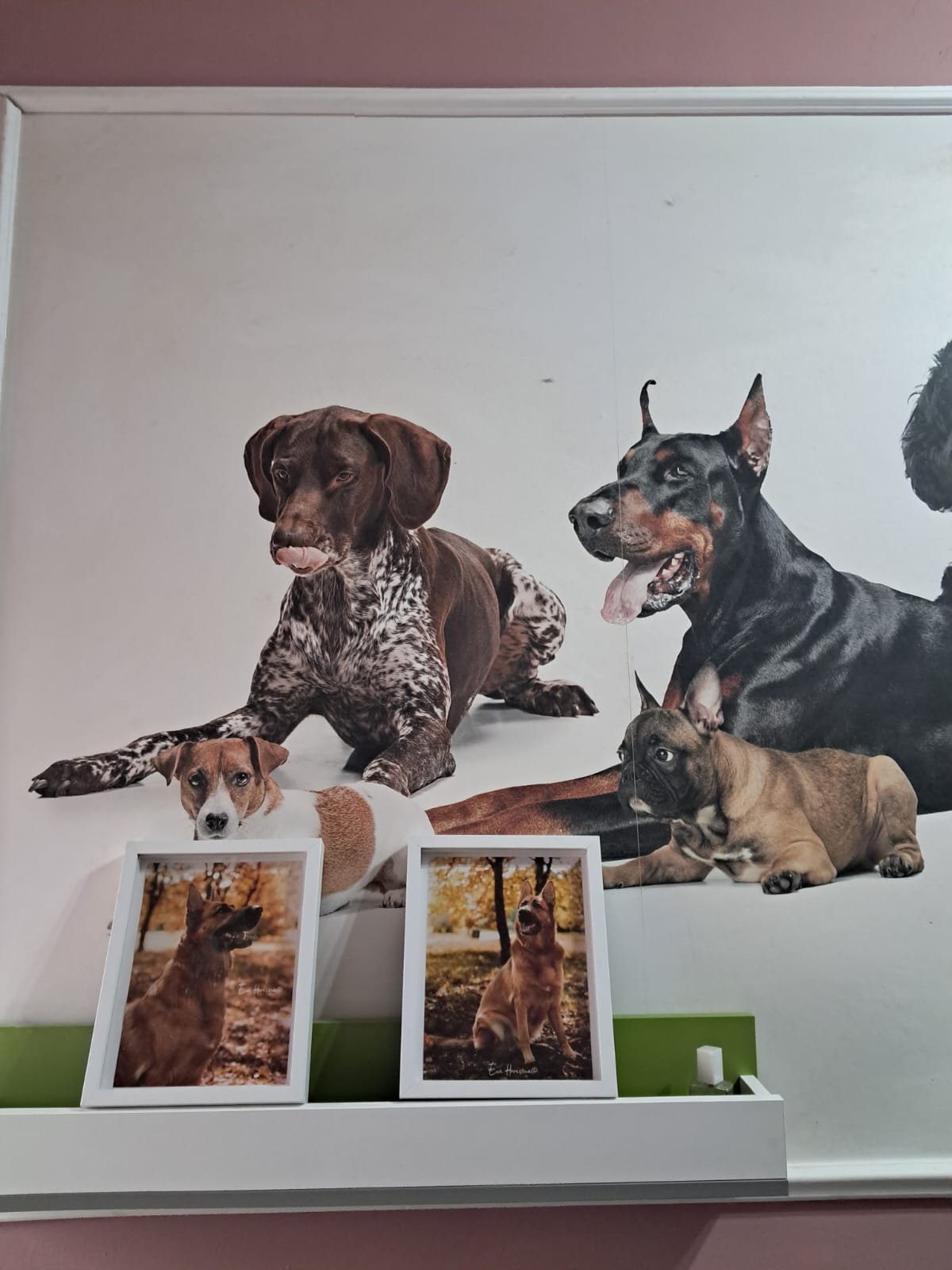 IMG 20250314 WA0016
