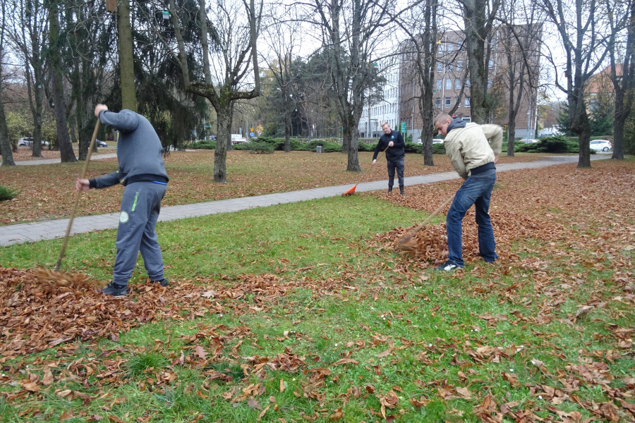 hpbialystok kasztany 28102019 02