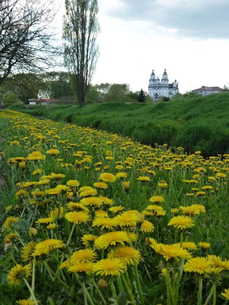 podlaskawk fotografiawczasiekwarantanny 04052020 3