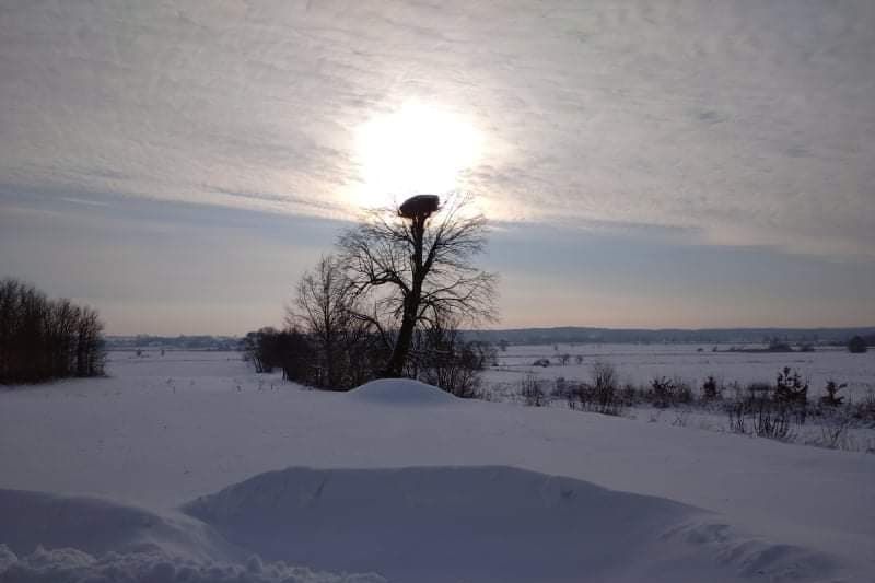 hpbialystok snieznykonkursfotograficzny 28012021 2