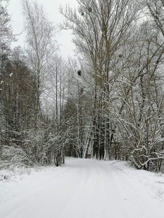 hpbialystok snieznykonkursfotograficzny 28012021 3