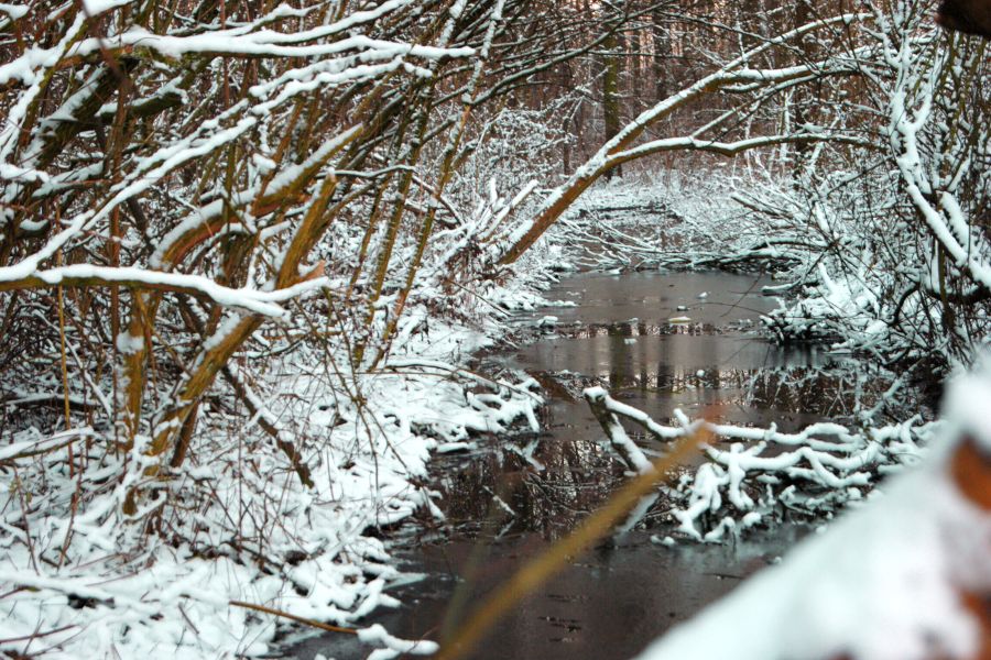 hpbialystok snieznykonkursfotograficzny 28012021 4