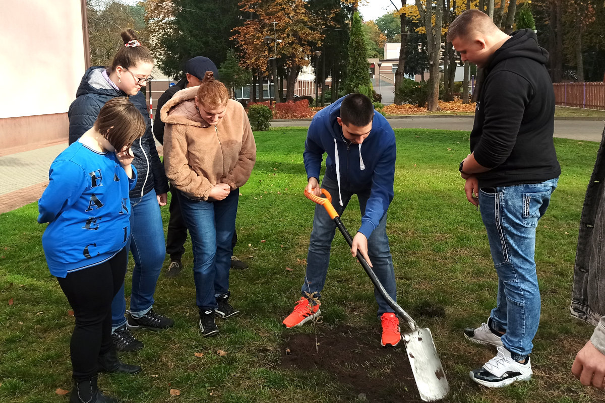 Augustów: Sadzenie Dębu Papieskiego