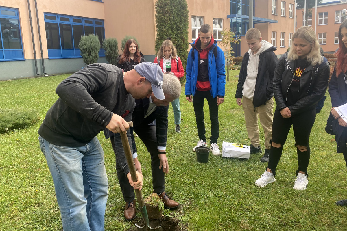 Kolno: Sadzimy Dąb Papieski