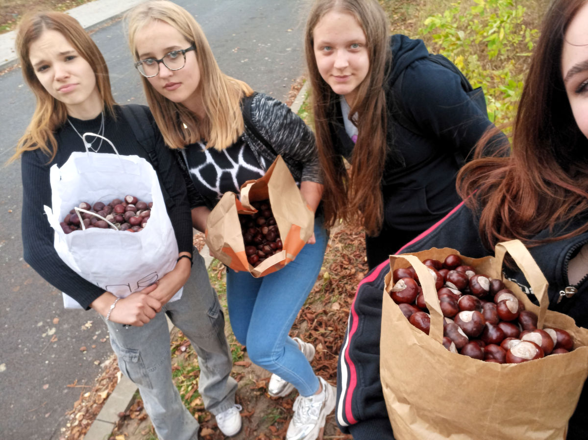 Grajewo: Zbieramy dary jesieni