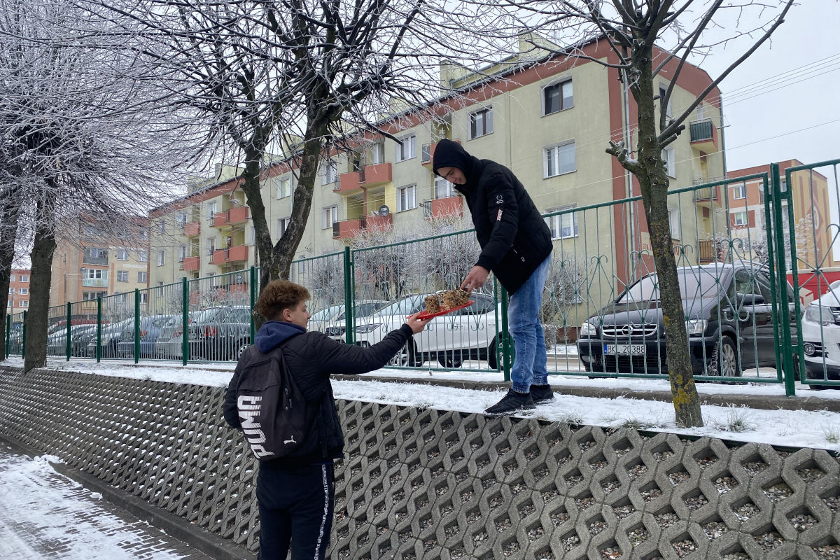 Kolno: Pomagamy przetrwać zimę ptakom