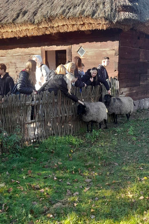 Zambrów: Integracja w Muzeum Rolnictwa w Ciechanowcu