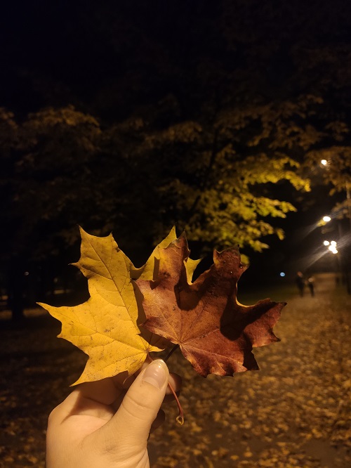 03