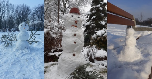 Zimowi ulubieńcy obiektywu