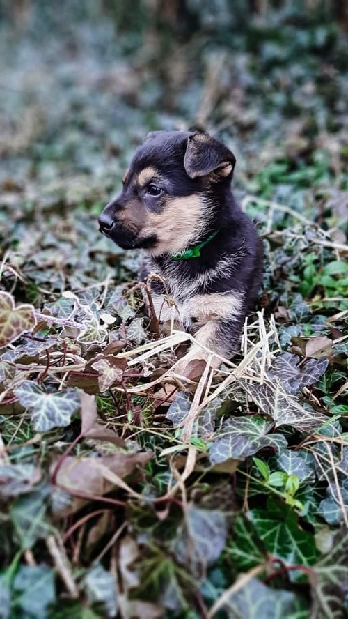 received 276199057449939 Wyróżnienie Mateusz Kruszyński i BADI