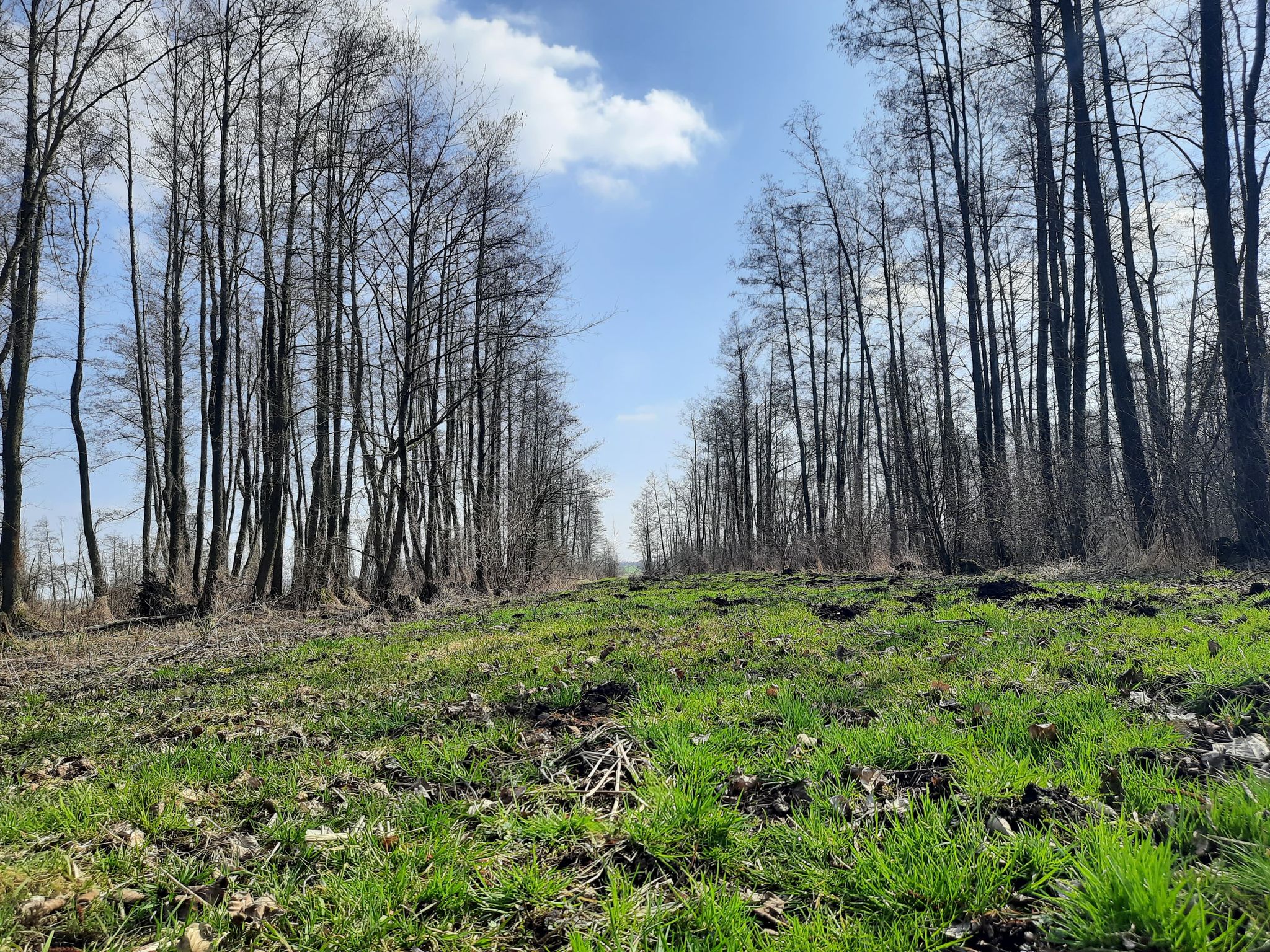 167134662 158494222799965 410184794802370042 n III miejsce Paweł Jóźwiak 1
