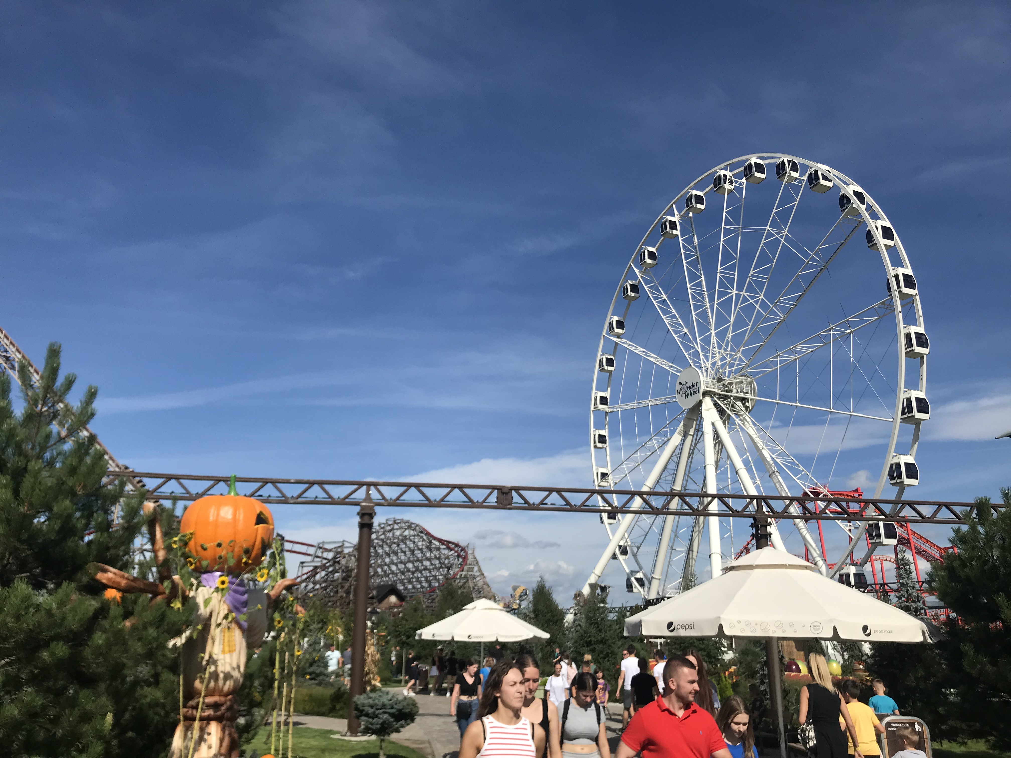Wonder Wheel