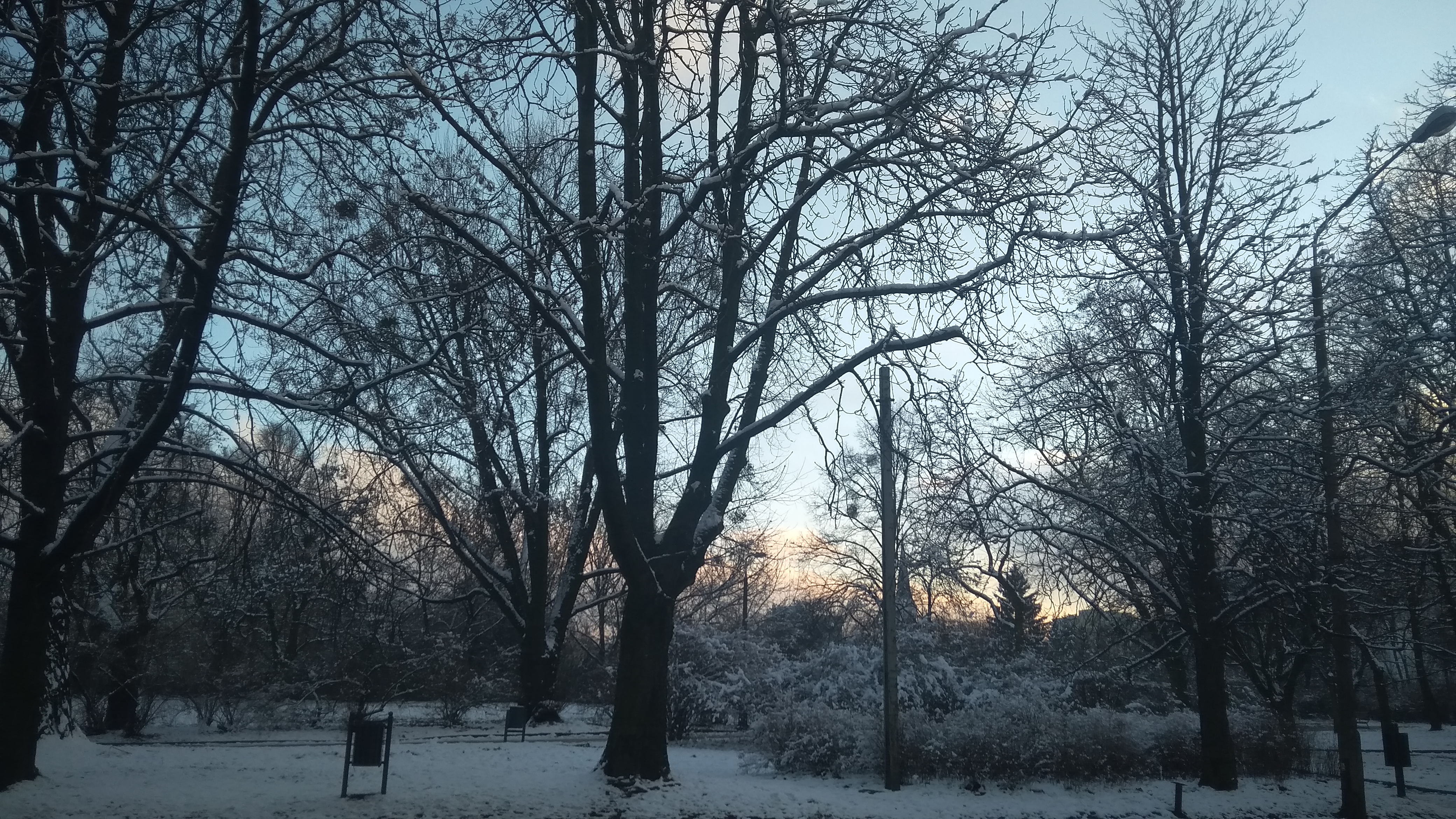 IMG 20210111 160000