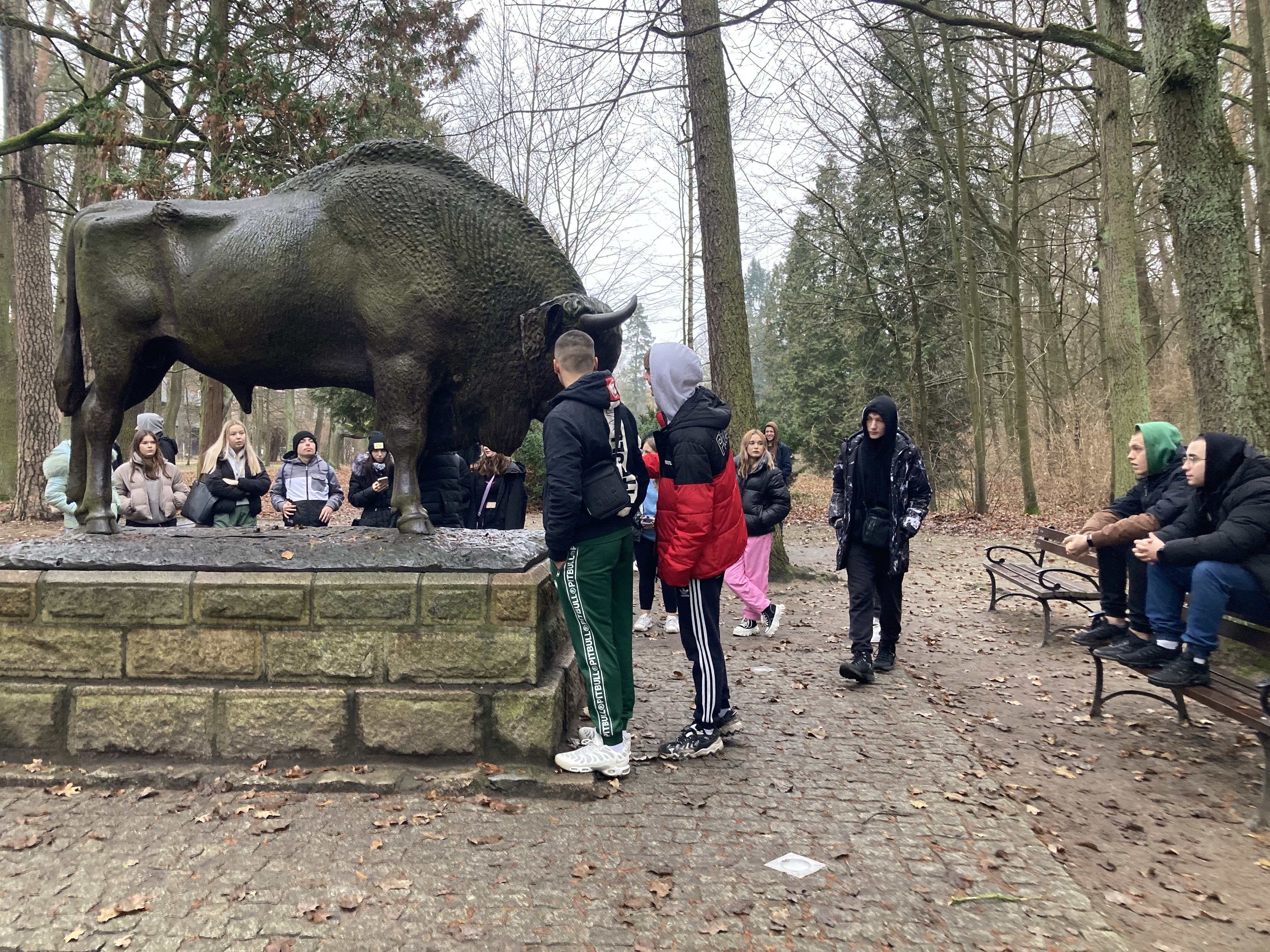 IMG 4875