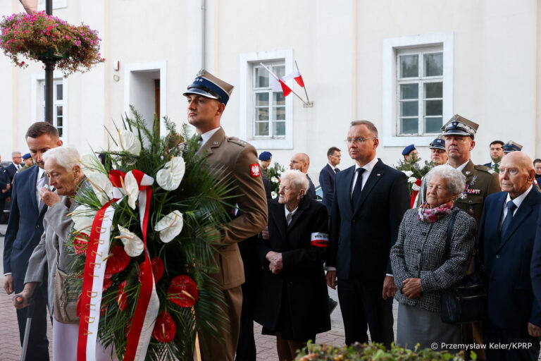 Zdjęcie nr 5